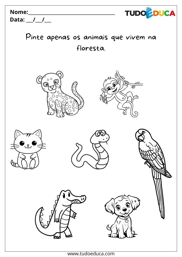 desenho para colorir animais da floresta