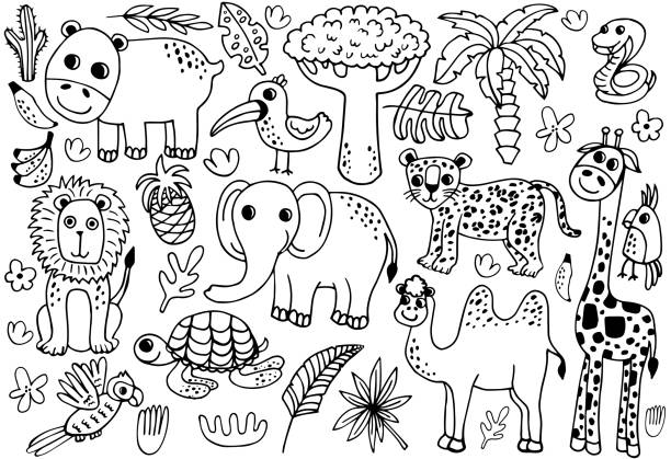 desenho para colorir animais da floresta