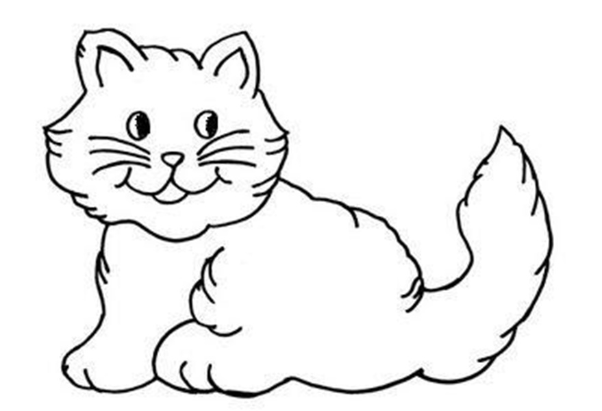 desenho para colorir animais da floresta