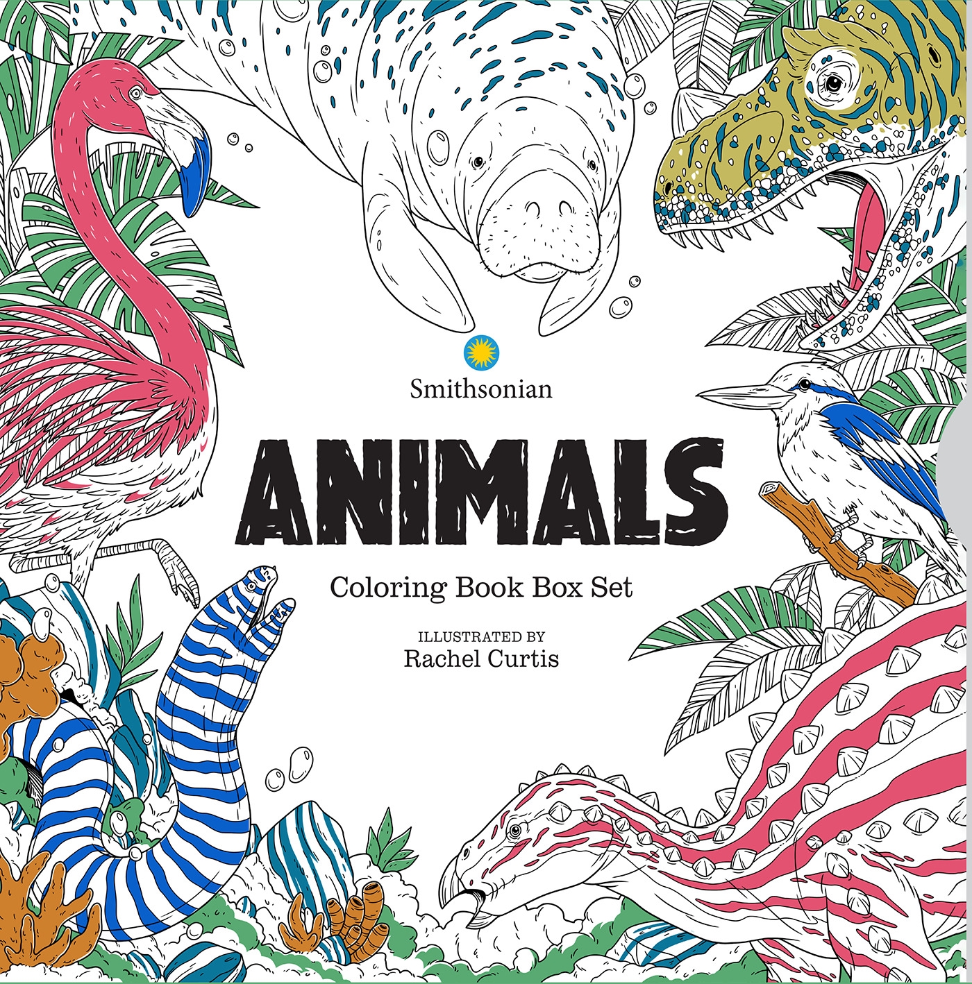 coloring book