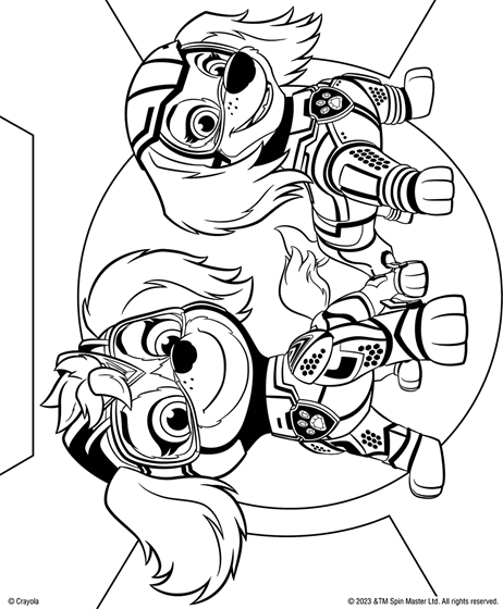 desenho-para-colorir-patrulha-canina